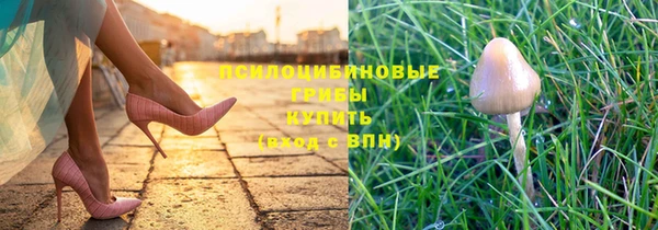 а пвп мука Абаза